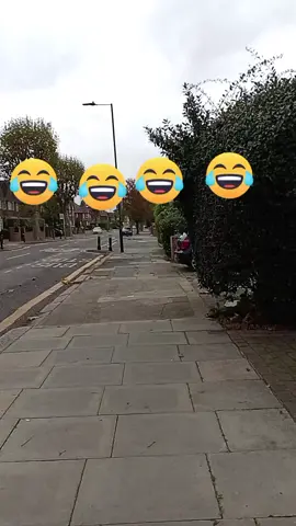 bună seara cum este vremea ?