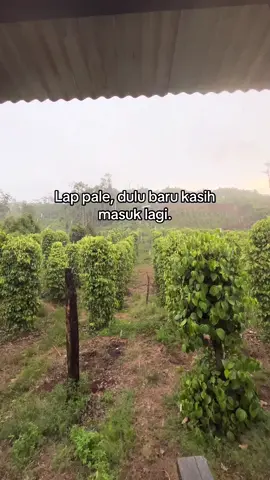 wisata masalalu#fypシ゚ 