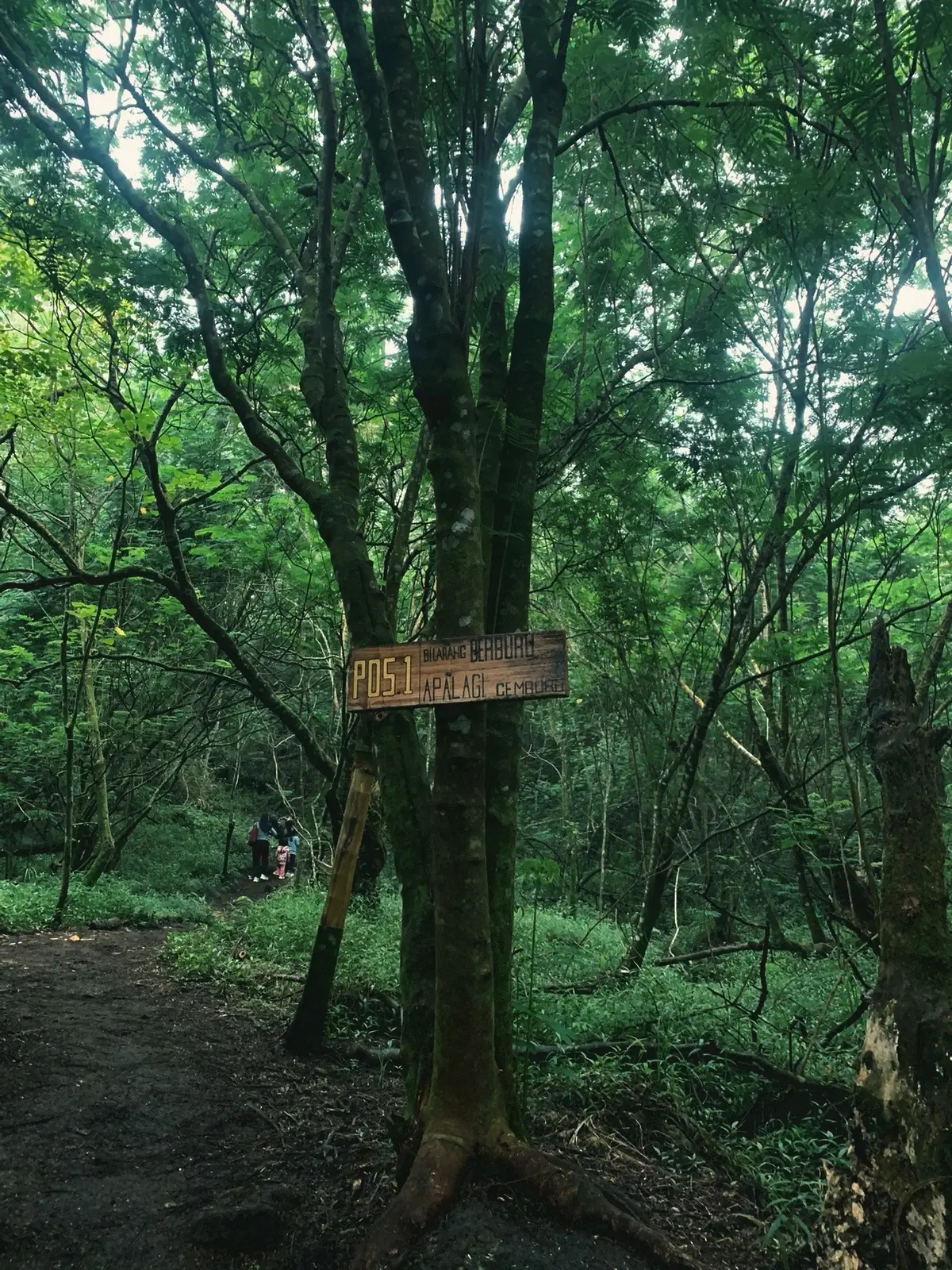 Akhirnyaa bisa kembali bersemi dengan alam🍂