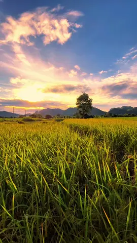 #วิวบ้านนอก🍃 #ท้องฟ้า⛅🌈 #อีสานบ้านเฮา #ต่างจังหวัด #fyp 
