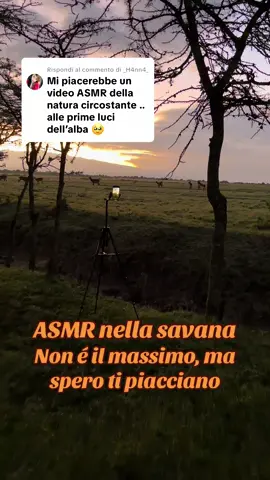 Risposta a @_H4nn4_ asmr nella savana #famigliagrimat #travel #travelfamily #100paesientroi18anni #familytravel 