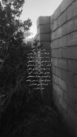 حن وانا احن .#اكسبلورexplore #البصره_شط_العرب 