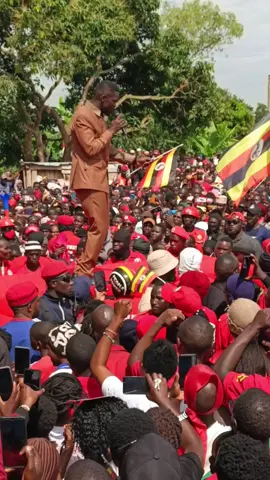 #fypシ #fyppppppppppppppppppppppp #fypシ゚ #fypシ゚ 