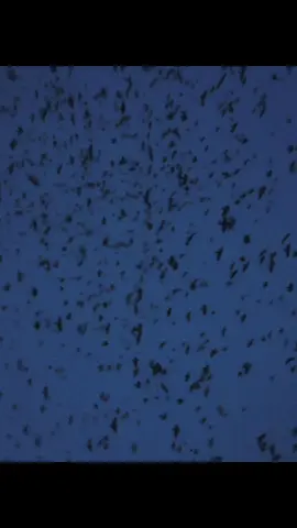 Deja vu 257: Time #agnod #foryou #fyp #xuhuong 