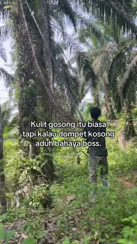 #sawit #sawitontiktok 