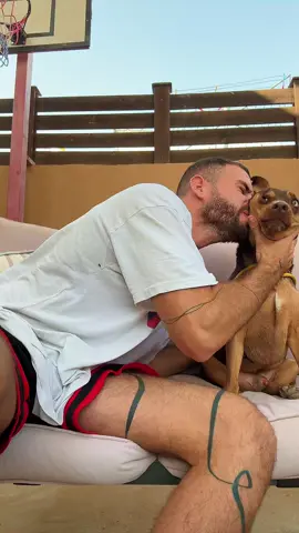 He started acting cocky !!! #dog #foryoupage 