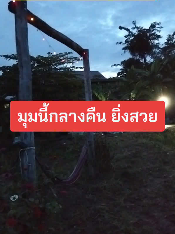 ไฟประดับโซล่าเซล์#ไฟประดับ #ไฟประดับโซลล่าเซลล์ #ไฟประดับสวน #ตกแต่งสวน #ไฟตกแต่งสวน 