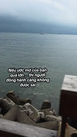 #onggia6_87 #suhuongtiktok  #trengding #capcut #fypシ 