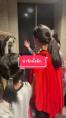 รวมมิตรฮาโลวีน ทุกห้องน่ารักมากๆ เด็กๆสนุกมากค่า 👻 🎃 ⭐️ #ริราพาเพลิน #rirapaploen #ไอริกับมิรา #หลานอากงลี #ฮาโลวีน2025 