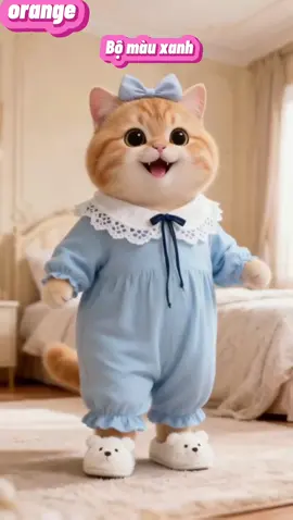 mèo cam đáng yêu #orangecat #creatorsearchinsight #positivevibes #cartoon #xuhuong 