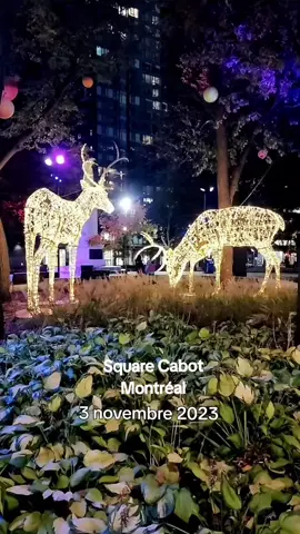 Montréal #Montreal #tiktokmontreal #mtltiktok #cejourlà 