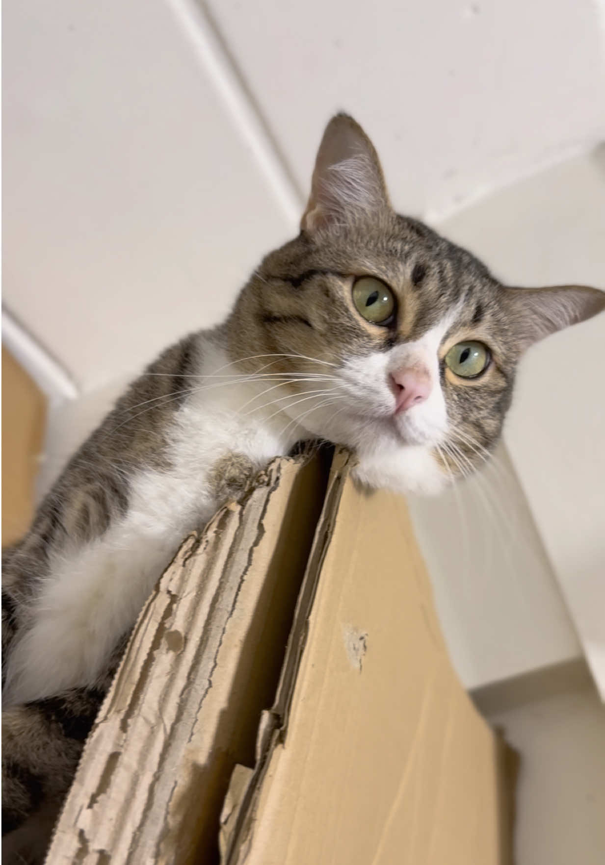 #กุ๊กไก่อินรีวิว 