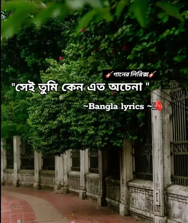 সেই তুমি কেনো এতো অচেনা হলে😥#ganer_lyrics #love_you_all_my_tiktok_family_friends 