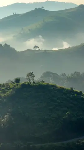 ลมหายใจของภูเขา คือหมอกที่โอบเราไว้ 🍃🌳⛰️ #ธรรมชาติ #วิวภูเขาสวยๆ #ธรรมชาติบําบัด #ฮีลใจ #ภูเขา 