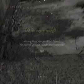 #foryouvideo #frypgシ #trendingtiktok #new #fyppppppppppppppppppppppp 