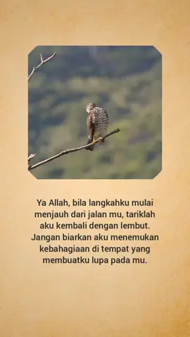 #quotes #quotesislam #reminderislamic #islamicquotes #quotesaesthetic 