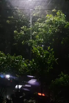 #CapCut  #November rain🌧  #gunsnroses🌹🔫 