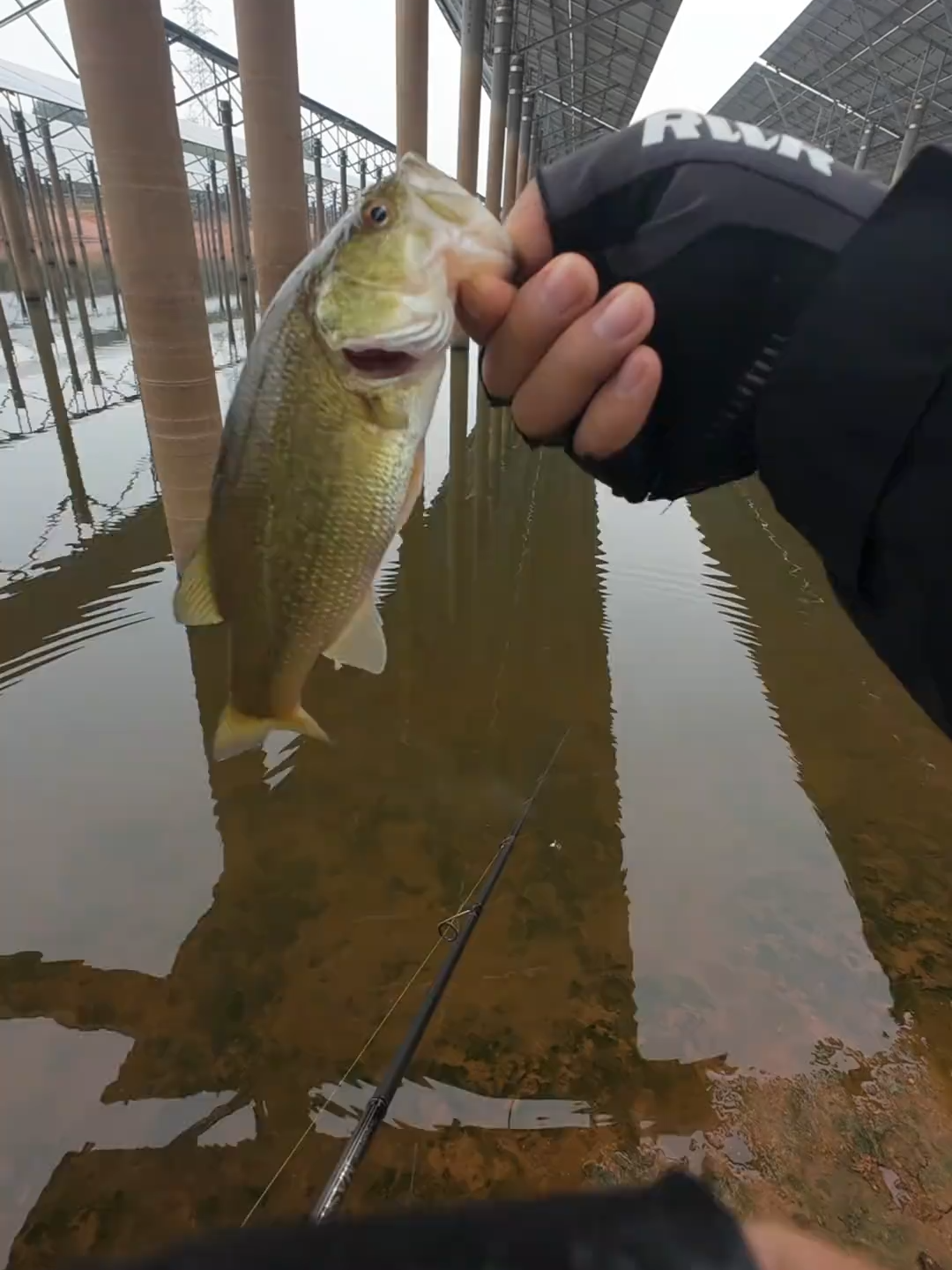 When A Fish Bites The Hook 2 Times In 1 Minute#fishing #fishinglife #haha #funnymoments #funnyvideos #fyp #ForYou