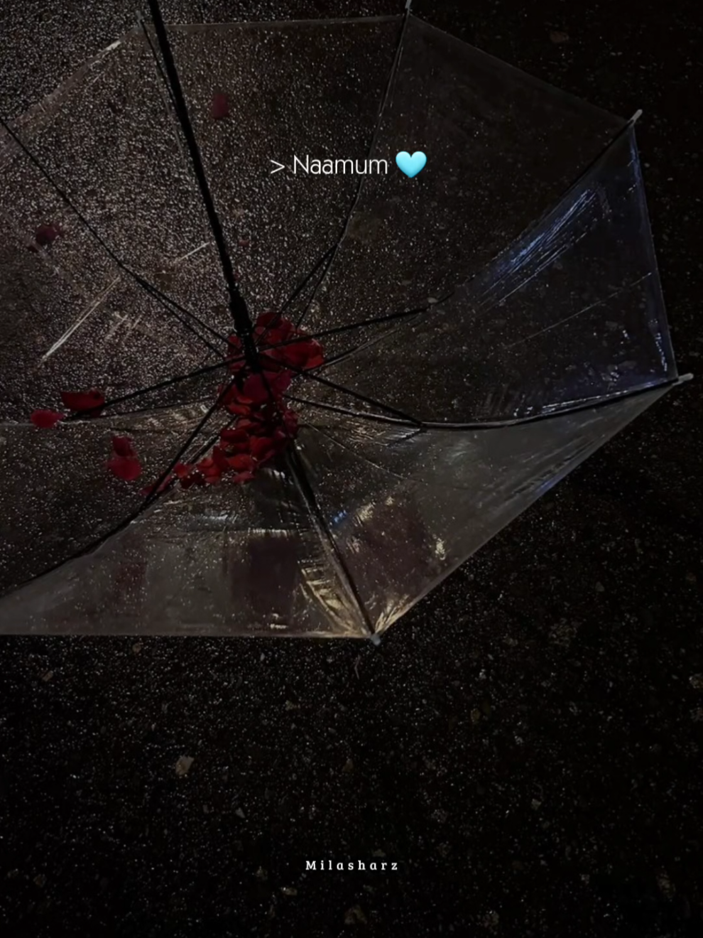 𝑺𝒆𝒓𝒂𝒎𝒂𝒍 𝑷𝒐𝒏𝒂𝒍 🫴🏻🫠 |  #tamilsong #onemillionaudition #tamilovesong #tag #fyp 