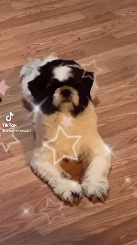 #Recuerdos #bonbon #navidad #paratodos 