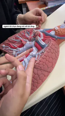 #hocycogivui👩🏻‍⚕️💙 