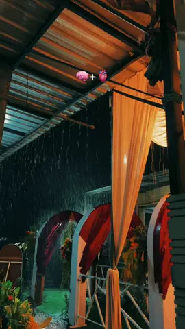 احيان يكون الجمال فقط للظهور وليس للامتلاك 