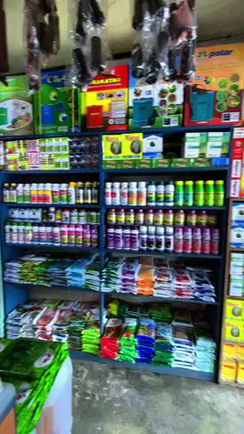 “tidak menerima perasaan,kami hanya menerima pesanan 😂”#suksesbutuhproses#suksesberamapetani @Dharma Guna Wibawa@Syngenta Rumah Tani Indonesia @Biotis Jatim Bag. Barat @nufarm_indonesia 