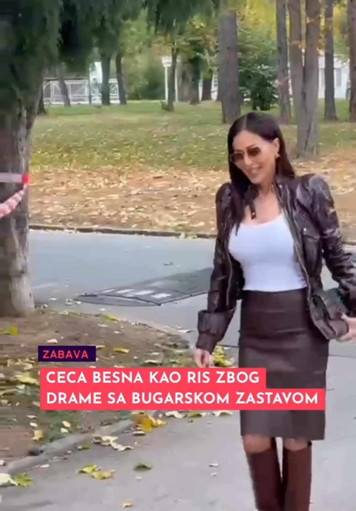 Ceca besna kao ris zbog drame sa bugarskom zastavom  #mondo #fyp #mondozabava 