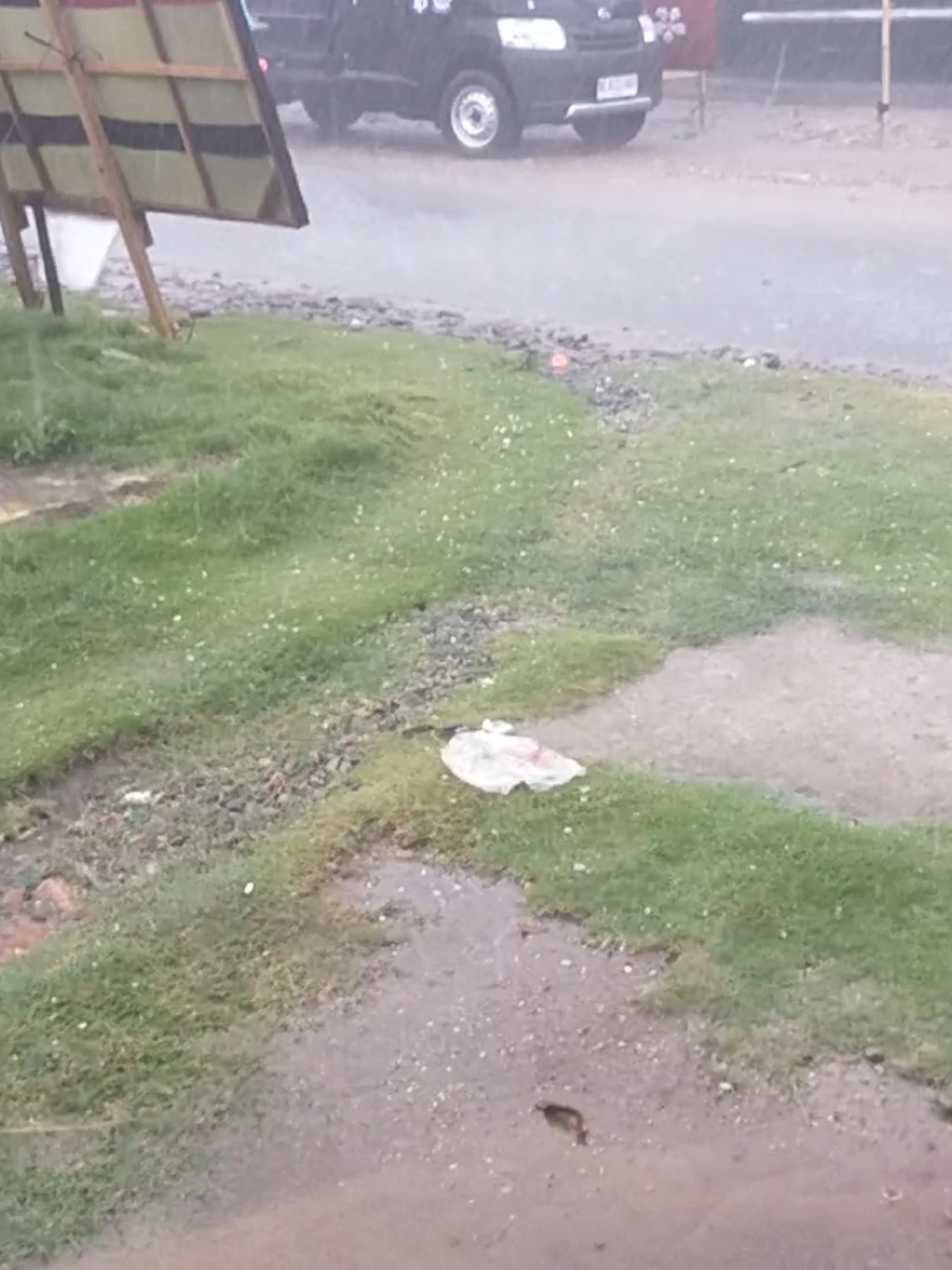 fenomena alam.ujan es batu campur angin mobat mabit. lokasi Trimulyo tegineneng lampung.infonya bnyak asbes genteng pada mabur mabur.+pohon tumbang#ujanesbatu #fenomenaalam #viraltiktok #alam 