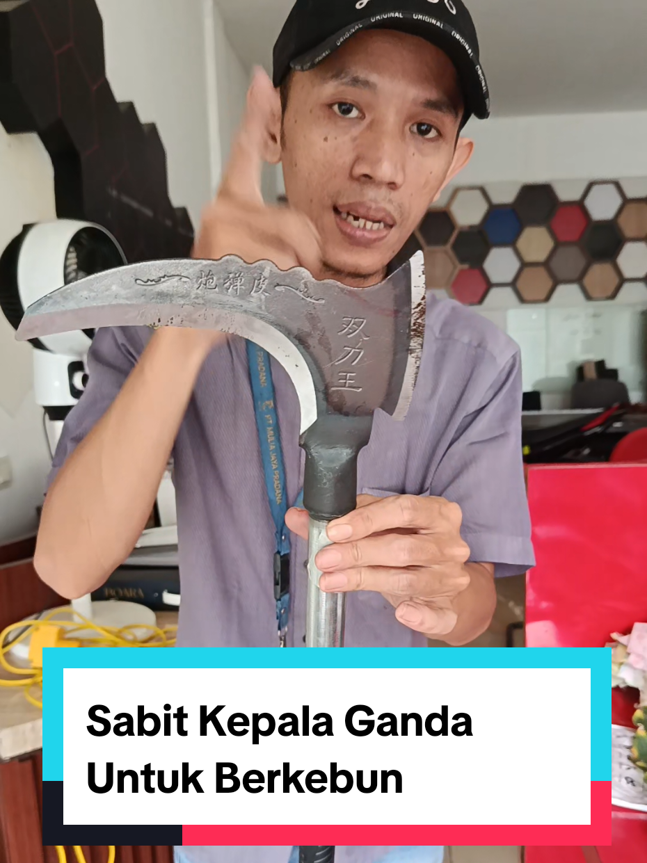 Sabit kepala ganda untuk berkebun #sabit #kapak 