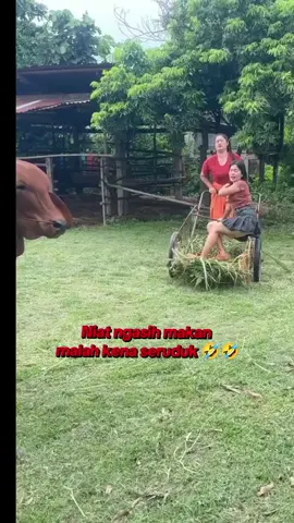 Ya ampun 🤣🤣 #lawak  #lucubanget  #hiburan_kocak  #videolucungakak  #ngakakkocak  #kocakabis  #fyppppppppppppppppppppppp 