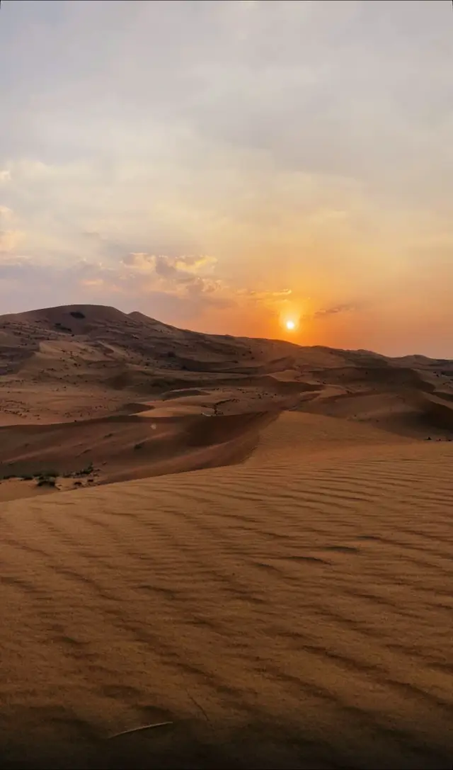 #اكسبلورexplore #alain 