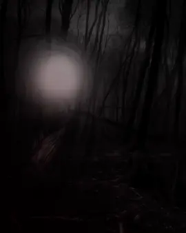 فضائل آمير النحل ﷻ 🙏🏻📜 #فضائل_العلي_ألعظيم #الخطبة_الافتخارية #الامام_علي_بن_أبي_طالب_؏💙🔥 #viral #fyp 