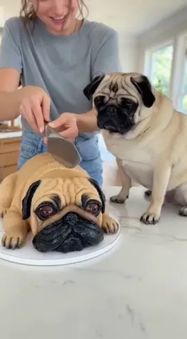 A woman baked a cake that was a stunning replica of her adorable pug. When she cut into it, the pug's reaction was absolutely priceless, thinking he was being sliced into! 🐶😂🍰 The video of his response is likely to melt hearts and bring laughter.                                                    #videoviral #fyp #cake 