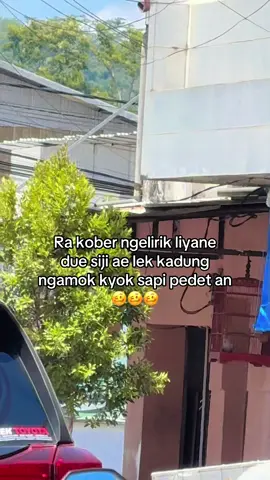 Ra wani ita itu jii, ben ra di cencang kyok sapi 🫣 @Faridaa🦋 #fyp #bakulsapi #peternaksapiindonesia #fypシ゚ 