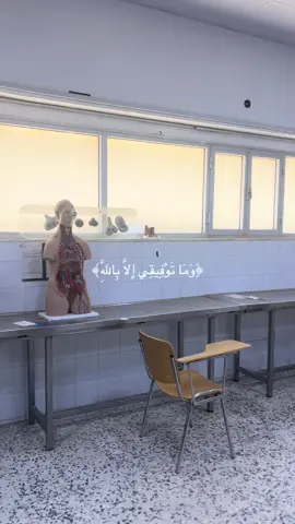 مشرحه البشري 🤍. #اناتومي #طب #الطب_البشري #الزاويه_العنقاء_ليبيا🇱🇾 #جامعه_طرابلس_كليه_الطب_البشري 