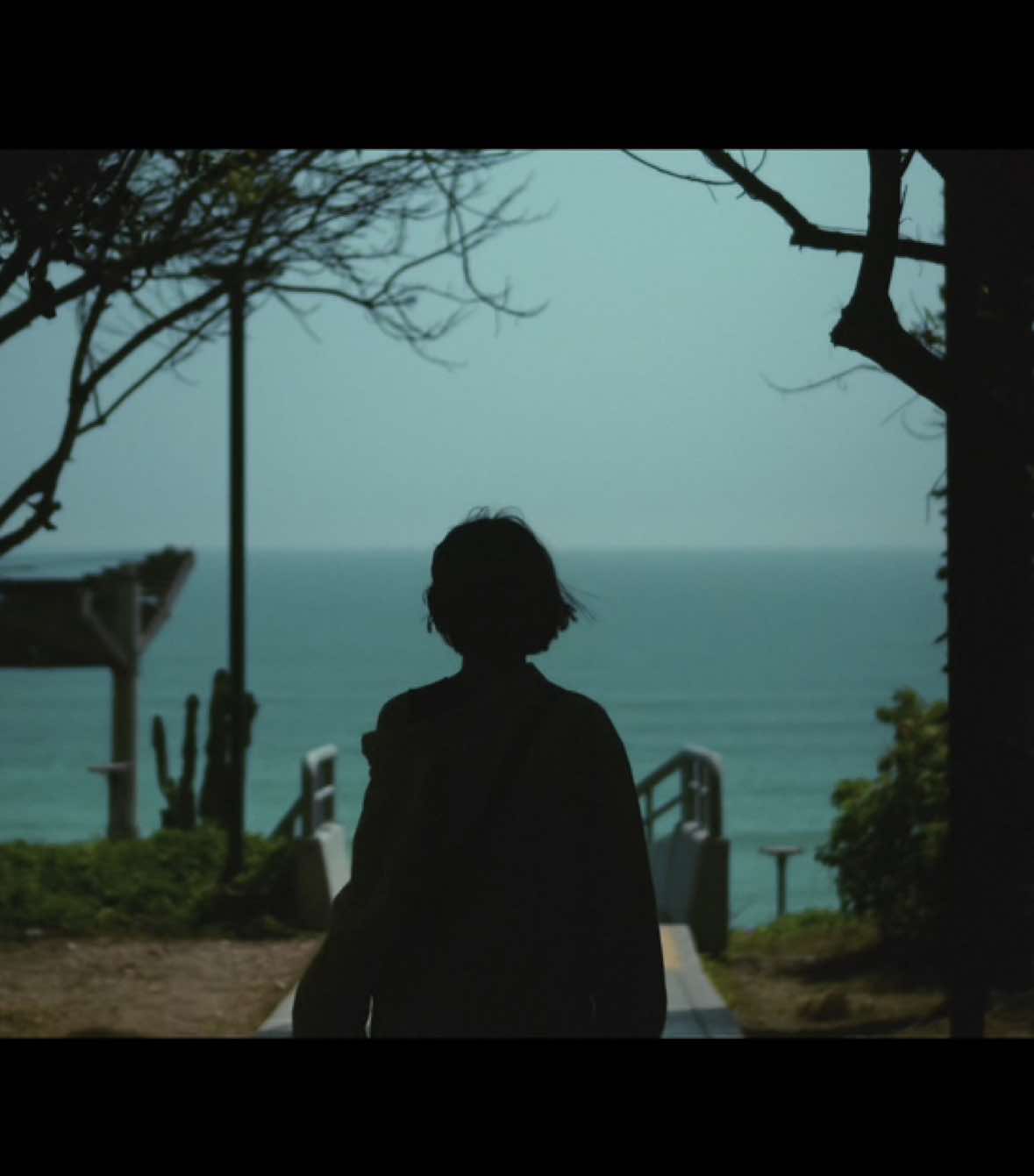 Hoy te enseño qué perfiles de color uso en mi SONY ZVE10 🫶🏼 Video completo en mi canal: cris.interior El enlace está en mi descripción 🌿 #tips #fotografia #sonyzve10 #colorgrading #filmmaker 