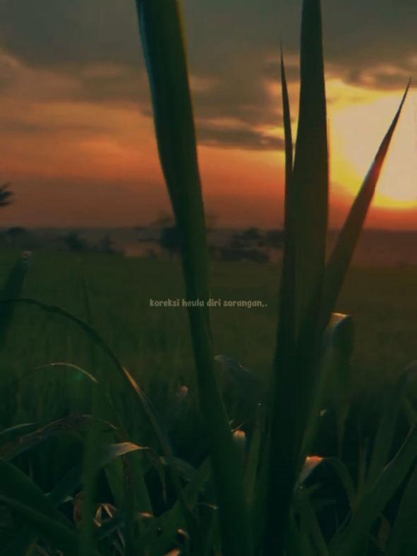 koreksi heula diri sorangan #cilananghilir #urangsunda #pepelingsunda #storysunda #4upage #fypシ 