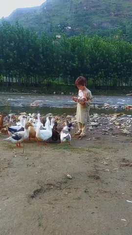 #uk @Salman Khan @Muhammad Sajid Khan @Bakht sar @Mardan king🇶🇦🇵🇰 @Hayat Zada @Haroon Rashid @sajidalam8116 @ABDULLAH JAN🇦🇪🇦🇪🇦🇪🇦🇪 