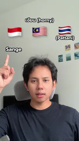 The differences of (dialect) and (slang) of Bahasa  in each country Indonesia, Malaysia, Thailand (Pattani) Ep.26