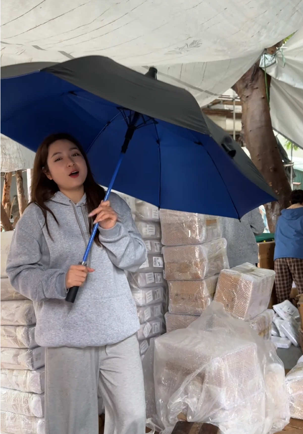 Ô đi mưa #colannhacua016 #odimua 