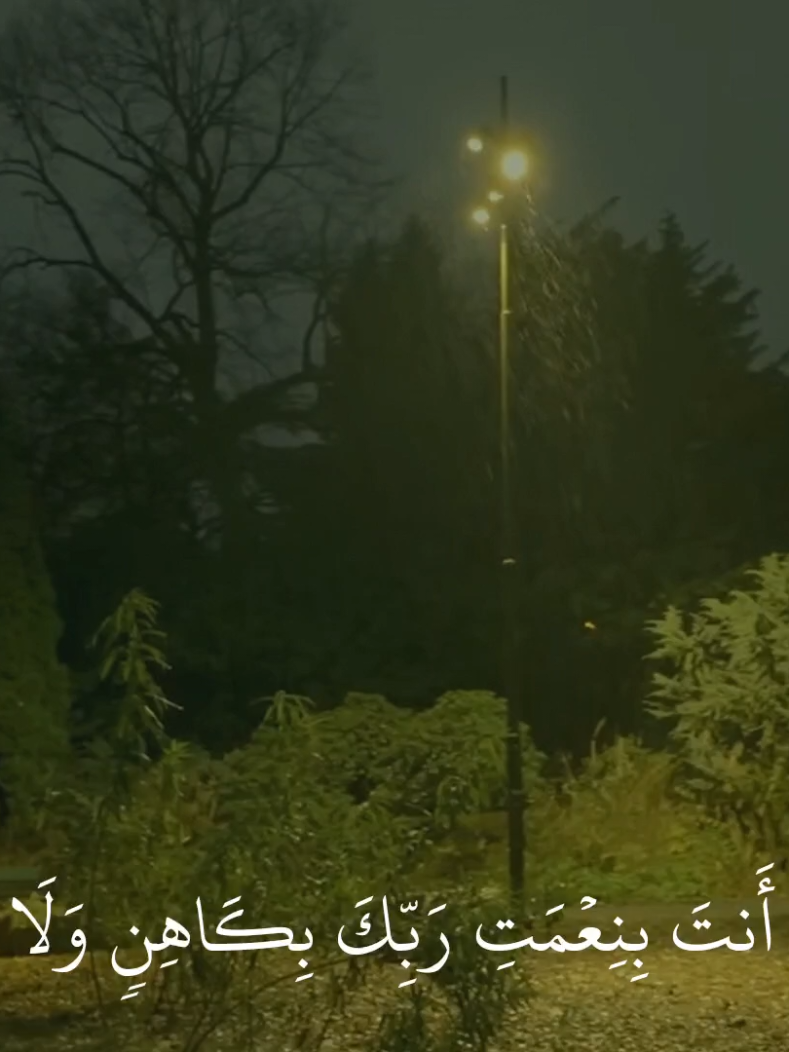 (انه هو البر الرحيم) #محمد_اللحيدان #قران_كريم #قران 