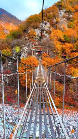 İsmayıllı Zərnava Kəndinə Keçən Asma körpü .Zərnava Körpüsü 🌉#ismayıllı #keşfetteyizzz #Love 