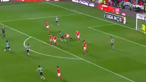 #benfica #portugal🇵🇹 #ChampionsLeague #uefa #@Fábio Pinto @Olha o Fabio @Águiadonorte 