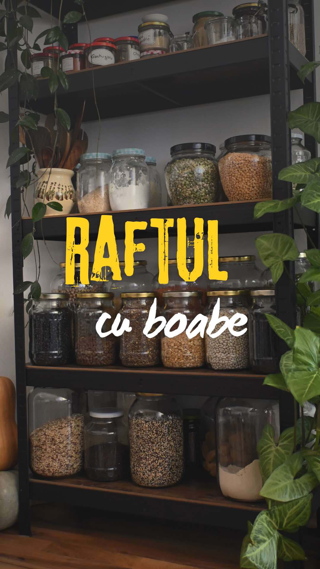 Sunt super entuziasmată să vă prezint Raftul cu Boabe! 🌱 Vom transforma boabele simple în rețete delicioase, hrănitoare și pline de culoare. Vom explora 15 tipuri de boabe: de la linte roșie, năut și fasole neagră, până la sortimente mai exotice, cum ar fi fasolea mung sau năutul maro. ➡️ Cu fiecare bob, vom pregăti o rețetă complet nouă, perfectă pentru mesele de zi cu zi. Dacă îți plac leguminoasele și vrei să descoperi noi moduri de a le găti, urmărește-mă pentru a nu rata niciun episod și hai să gătim… bob cu bob! 🫘💛 #RaftulCuBoabe #ReteteDePost #ReteteVegane #MancareVegetariana #GatesteAcasa          