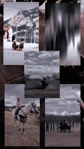 tem vida melhor que essa  #cavalo #inteiro 