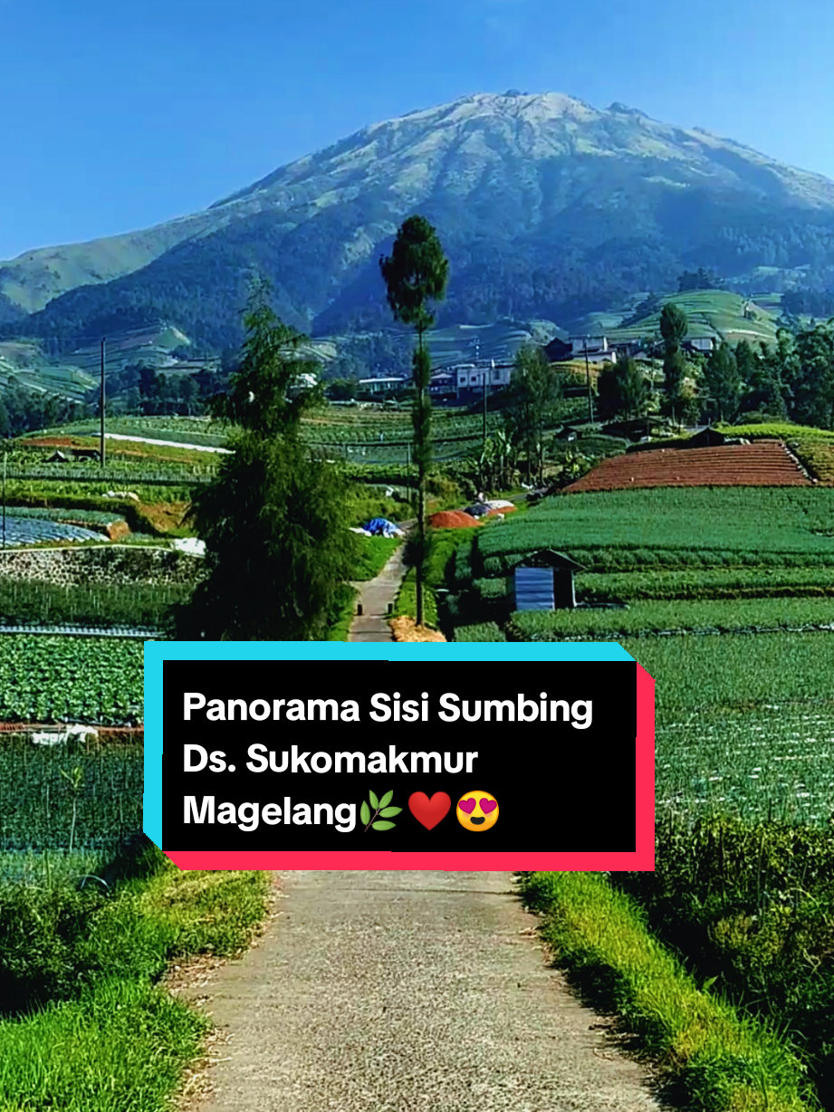 Panorama sisi sumbing magelang jateng🌿❤😍#sisisumbing #gunungsumbing #magelangexplore #lagujawa #padahariini 