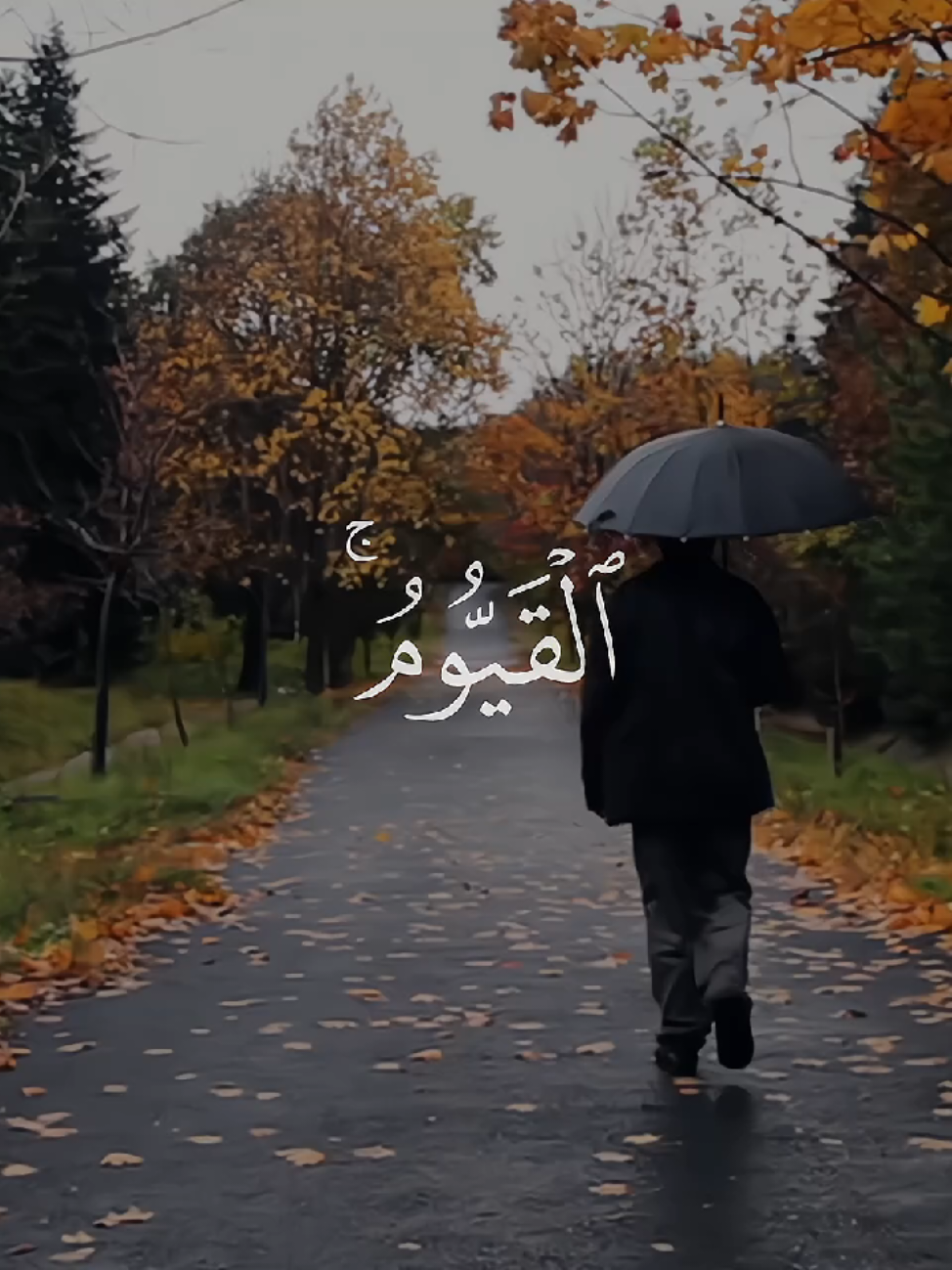 ﴿ اللَّهُ لَا إِلَٰهَ إِلَّا هُوَ الْحَيُّ الْقَيُّومُ ۚ ﴾ ‌ ‌{ سورة البقرة - محمود علي البنا}  #قران_كريم #quran #محمود_علي_البنا #قران_كريم 