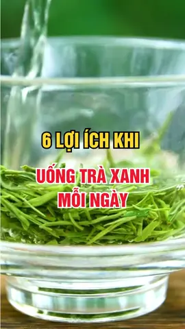 6 Lợi Ích Khi Uống Trà Xanh Mỗi Ngày! #traxanh #suckhoe #songkhoe #songkhoemoingay 
