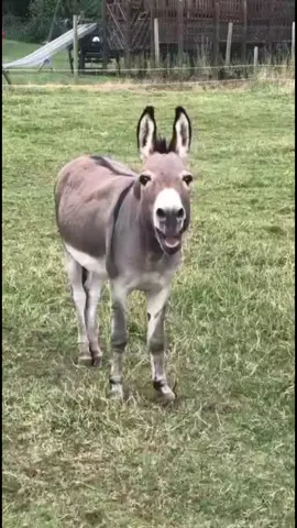 🌹💘💖💚❣️🩷🩷🩷🩷🖤🤎💞🧡❤️♥️💜🩵🩵💜💚❣️🩷💓🤍💝🤎🧡🧡💞🤎💙🧡♥️♥️♥️❤️